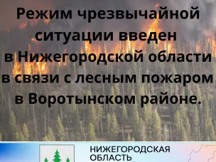 В связи с режимом ЧС с 19.08.2022 вводится запрет на посещение лесов, в том числе на охоту, на территории Нижегородской области