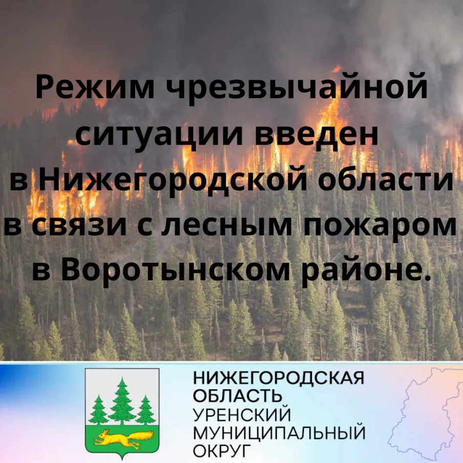 В связи с режимом ЧС с 19.08.2022 вводится запрет на посещение лесов, в том числе на охоту, на территории Нижегородской области