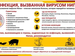 Профилактика инфекции, вызванной вирусом НИПАХ