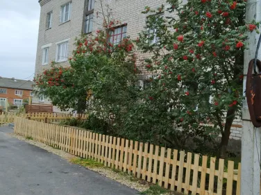 Фотогалерея 2021 Пиунова