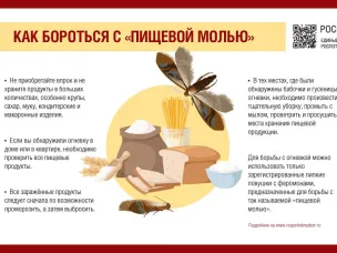 Как защитить дом от «пищевой моли»   