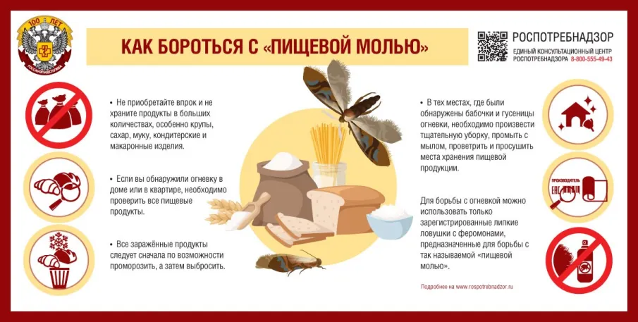 Как защитить дом от «пищевой моли»   